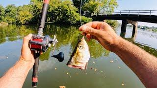 4 Hours of RAW and UNCUT Kayak Catfishing on Fort Loudon Reservoir