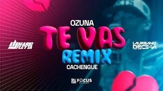 TE VAS - OZUNA | Remix Cachengue  Dj Laureano Decima FT Dj Mario Fleyta 