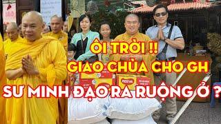 Ôi Trời ! Sư Minh Đạo ra ruộng ở ? quá xót xa !! #thichchanquang #thichminhtue