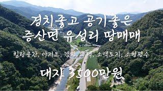 공기 좋고 대가천 계곡 흐르는 김천시 증산면 유성리 저렴한 땅매매 작은평수 소액토지 소액땅 계곡땅