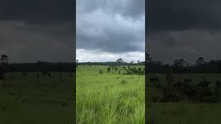 อุทยานแห่งชาติ ทุ่งแสลงหลวง #travel #shorts