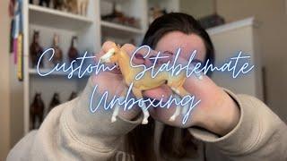 Custom Breyer Horse Stablemate Unboxing