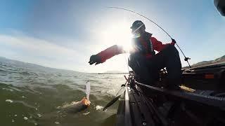 Glide Bait Fishing out of the Old Town Auto Pilot 120 Kayak