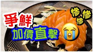 【爭鮮直擊】慘！平民壽司爭鮮迴轉壽司加價直擊｜豪食黑鮑海螺螢光魷魚｜海鮮大集合｜三文魚刺身蝦甜蝦｜平民美食｜香港爭鮮｜壽司刺身｜日本料理｜#馬加貓