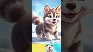 The Husky Song, kids song about Husky #kidssong #dog  #husky