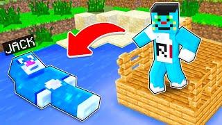 Minecraft Oggy Get Some Troubled To Found Jack In Hide And Seek