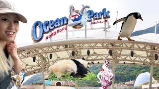 why you must visit ocean park hong kong