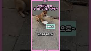 여자친구에게 잘 보이고 싶은 댕댕이