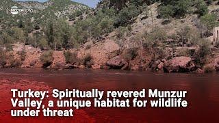 Turkey: Spiritually revered Munzur Valley, a unique habitat for wildlife under threat