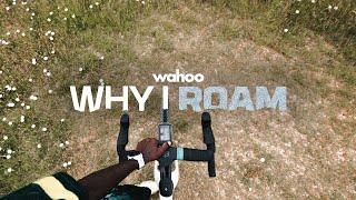 Why I ROAM Trailer