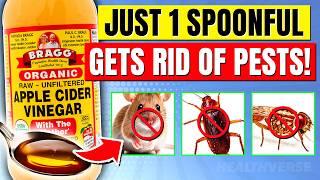 9 APPLE CIDER VINEGAR Hacks To Get Cockroaches, Mice, Fleas & Pests From Your Home NATURALLY