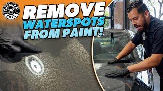 Waterspots on car paint won't come off? Try this! - Chemical Guys