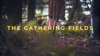 The Gathering Fields | Caitlin Saunders