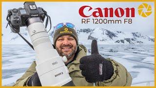 The Canon RF 1200mm f8 - Tested in Svalbard!