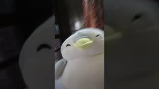 miniso pen pen penguin #cute #dog #memes #doggo #funny