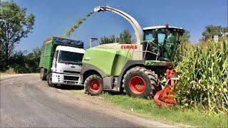 CLAAS JAGUAR 940 | 8 SIRA MISIR BİÇMEK KOLAY DEĞİL - CORN SİLAGE 2021