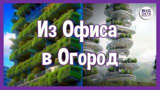 Возрождение пустых офисов Майами: квартиры или вертикальные фермы?