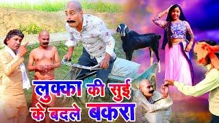 लुक्का की सुई के बदले बकरा !! Lukka comedy 2024 लल्लन मस्ताना LOVELY PREMSHANKAR