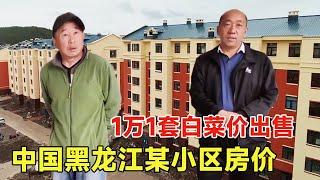 中国东北黑龙江山景房价，62平1万一套你敢信？实地看房当场询价【鬼头看房】