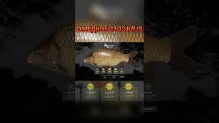 КАРАСЕКАРП ТРОФОЗЕРО МЕДНОЕ #fishing #рыбалка #carpfishing #рыбалка#carp#рр4#русскаярыбалка4