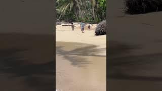 When your backyard is the beach..️ ️ #siargao #philippines #beach #travel #tropics #nature