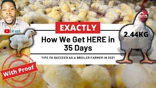 Step-By-Step Guide to Get Maximum Broiler Weight and Growth Per Week