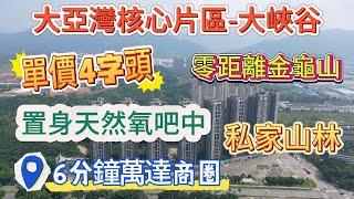 超特價單位【大亞灣中心區-大峽谷】惠陽唯一私家山林小區 | 6分鐘可達萬達廣場 落樓巴士直達沙田站 | 金龜山林零距離 置身天然氧吧中 負氧離子爆棚#惠州筍盘 #惠州 #大亚湾