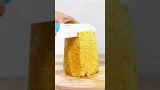  Juicing Pineapple Techniques by Kuvings USA in AUTO10 & REVO830