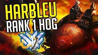 BEST OF "HARBLEU" RANK 1 TANK IN THE WORLD - Overwatch Harlbeu Montage & History