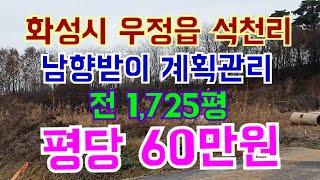 화성시 우정읍 석천리 남향받이 계획관리 전 1,725평 평당 60만원