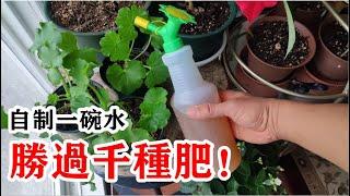 3樣家家都有的材料，就可以自己制作神奇的EM菌，快捷衛生高效