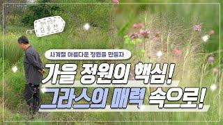 [ SUB ] 그라스 다시보기 About the Grass Garden | 정원의 발견 Wonders of Garden | KBS제주 20220923 방송