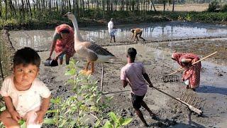 আজকে আমি আর মা সারা দিন অনেক কাজ করলাম । Bangladeshi Simple Village Farmer Life | Village Vloger |