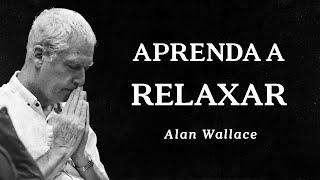 Alan Wallace - Aprenda a Relaxar