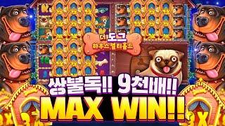 [슬롯][슬롯머신]더도그하우스 멀티홀드쌍불독!! 9천배!! MAX WIN!!#슬롯 #슬롯머신 #프라그마틱 #슬롯추천 #슬롯사이트 #온라인슬롯