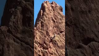 Climbing  #shorts #gardenofthegods #climber #ytshorts #climb #colorado #rocks #travel #climbing