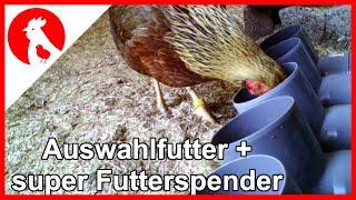 009 Auswahlfutter für Hühner + Bau der Futterspender - free choice feeding chicken