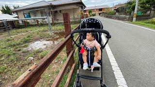 JALAN -JALAN PAGI ‼️LIHAT SAPI WAGYU #KEHIDUPAN DI JEPANG