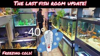 MY LAST FISH ROOM UPDATE OF 2022! SHOWING ALL MY AQUARIUMS