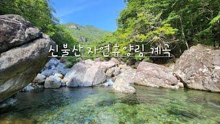 신불산 자연휴양림 계곡 | 국립신불산폭포자연휴양림 | 영남알프스 베이스캠프 | 울산 울주