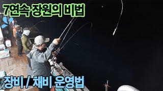 7번 연속 장원의 비법) 한치낚시 장비 채비 운영법