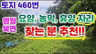 토지460번 (3500만)산골짜기 국유림 접한 부지246평 /마을상수도 전기,통신 기본 ,경계측량완료033-765-5998#농막토지#자연인토지#영월토지매매#싼땅#