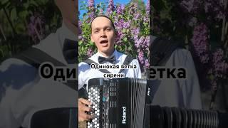 СПЕЛ ОТ ДУШИ! #одинокаяветкасирени #баян #песня #залкин #берлогаартиста #топбаянист #красавчик
