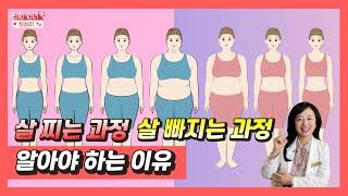 다이어트 살찌는 과정과 살빠지는 과정, 살은 어떻게 빠지는 걸까? 살 찌는 원리와 빠지는 이유, 지방 분해, 지방 빠지는 과정