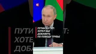 Путин шутит: хотел бы добавить по поводу трубы #путин #россия #лукашенко #переговоры