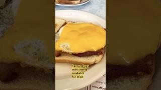 quick bite! #food #shorts #ytshorts #youtubeshorts #short #shortvideo