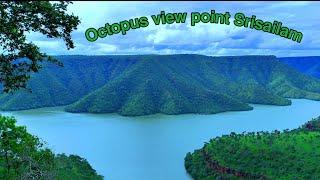 Srisailam - Octopus view point, Srisailam Dam, Krishna River #srisailam #octopusviewpoint