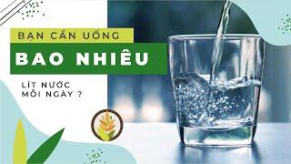 Bạn cần uống BAO NHIÊU lít nước / 1 ngày ? - Kênh của Lúa