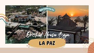 ¿Dónde hospedarse en La Paz, BCS? || Orchid House Baja