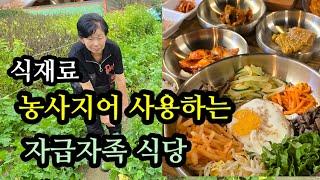 대전도심에서 맛보는 농사지어 제공하는 자급자족식당 팔도비빔밥